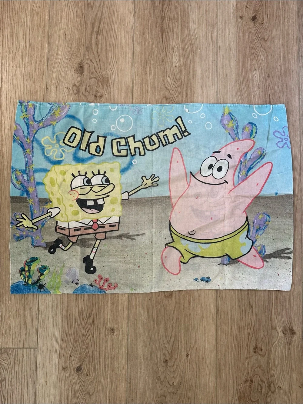 Nickelodeon kids standard